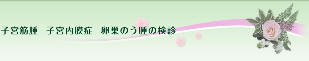 子宮筋腫　子宮内膜症　卵巣のう腫の検診