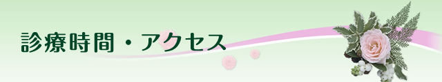 診療時間・アクセス