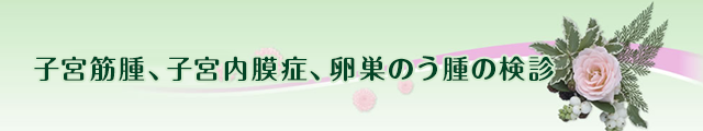 子宮がん検診